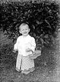 European child with sarong and kebaya, early 20th century