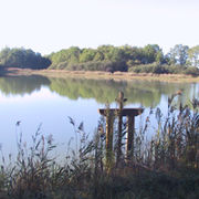 Sologne pond