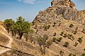 Sparse tree cover on arid upper slopes