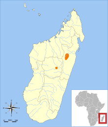 Carte de l'île de Madagascar, avec deux zones marquées où l'espèce a vécu ou elle a pu vivre, dans la moitié supérieure de l'île et à l'intérieur des terres.