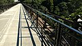 Protective railings next to the historic railings