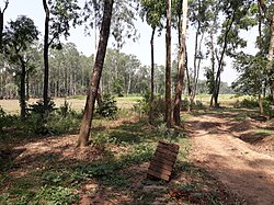 Historic Gar Mandaran mound