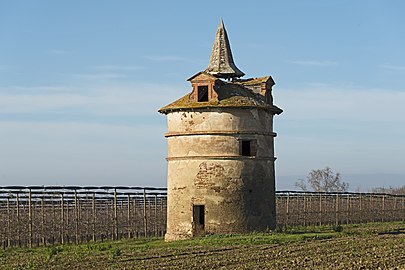 Le colombier de Saint-Cry.