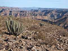 Fish River Canyon.