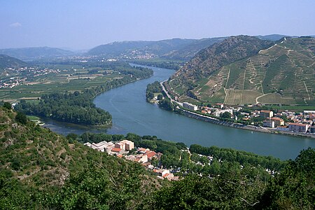 Weinbau am Hermitage