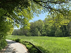 Auwiese im Angertal