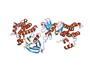 2bdf: Src kinase in complex with inhibitor AP23451