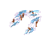 2gyr: Crystal structure of human artemin