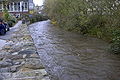 Heller bei Hochwasser in Betzdorf