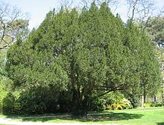 Au Jardin du Pré-Catelan.