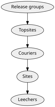 A hierarchy, from the top down it reads: "Release Groups", "Topsites", "Couriers", "Sites", and "Leechers".