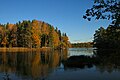 Färnebofjärden Parke Nazionala.