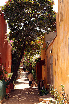 Image illustrative de l’article Île de Gorée