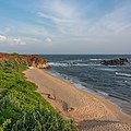 Image d'une plage bordée par des plantes.