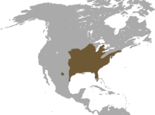 Carte d'Amérique avec une large tache sur l'ouest des USA, débordant un peu sur le Canada et le Mexique