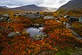 Mourki, Sjaunja natural reserve