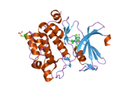 2bzi: CRYSTAL STRUCTURE OF THE HUMAN PIM1 IN COMPLEX WITH A RUTHENIUM ORGANOMETALLIC LIGAND RU2