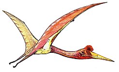 Quetzalcoatlus (Pterosauria)