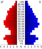 Bevolkingspiramide Bandera County