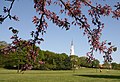 Memorial Chapel with Cercis canadensis