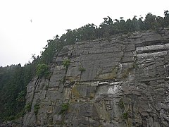 Acantilado de cormoranes