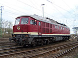 14. KW Die Diesellokomotive DR 130 101-9 bei einer Fahrzeugparade des DB Museums in Koblenz-Lützel im April 2010.