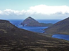Jacquemart Island – südlichster Punkt