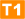 T1