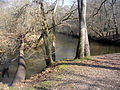 La confluence des deux Leyre (la Grande à gauche, la Petite à droite) au « Hourc d'Eyre » à Moustey.