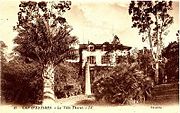 Photographie ancienne de la villa Thuret et son parc d'acclimatation. Cocotier du Chili au premier plan et stipe mort juste derrière.