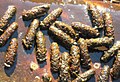 Pupae