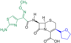 Cefovecin