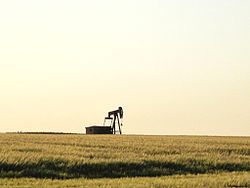 Pump jack near Ponoka