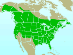 Mapa de distribución