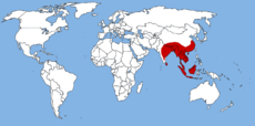 rozšíření rodu Muntiacus