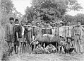 Seekor harimau jawa ditembak di Malingping, Lebak (tahun 1941).