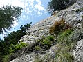 Ferrata Magnifici 4 - panoramio.jpg4 000 × 3 000; 2,54 MB