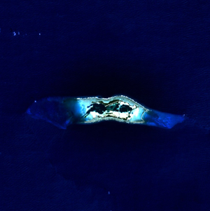 Satellitenbuidl vom Palmyra-Atoll