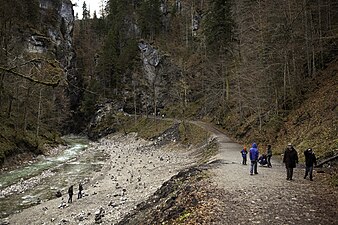 La Partnachklamm.