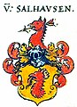 Wappen derer von Saalhausen