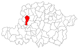 Location in Arad County