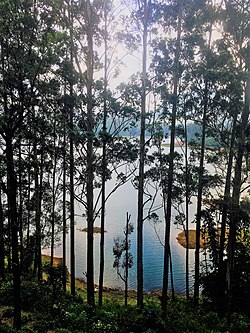 A section of the Maskeliya Reservoir as seen from the Peak Wilderness Sanctuary