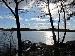 A lake surrounded by trees