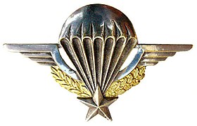 Brevet militaire de parachutiste de l'armée française