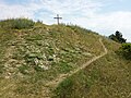 Die Rasensteppe um den Hausberg südlich des Buschberggipfels ist dem Verband Stipo-Festucetum valesiacae zuzurechnen.