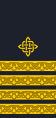 Kapetan bojnog broda (Armada croata)[50]