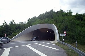 Saukopftunnel