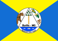 Bandeira de Buritis
