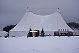 Scott på Gärdet, vinter 2012.