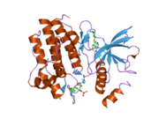 2ivu: CRYSTAL STRUCTURE OF PHOSPHORYLATED RET TYROSINE KINASE DOMAIN COMPLEXED WITH THE INHIBITOR ZD6474